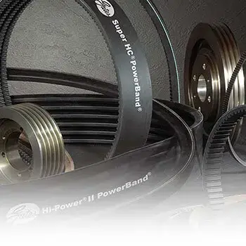 تسمه چیست ؟