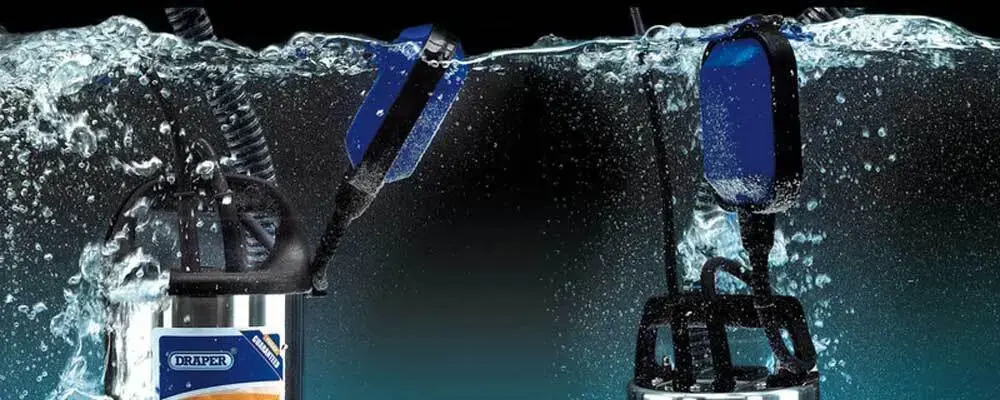 تصویری از یک فلوتر در درون آب