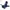 644ce10f-8444-4bbb-b420-26e5d61cb378.jpg