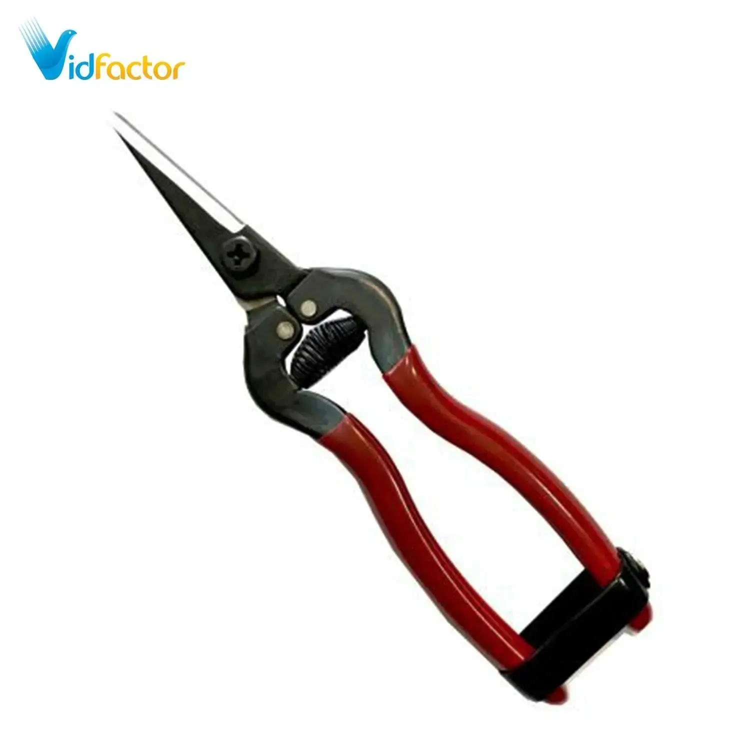 قیچی باغبانی برگر انگور چینی 1600