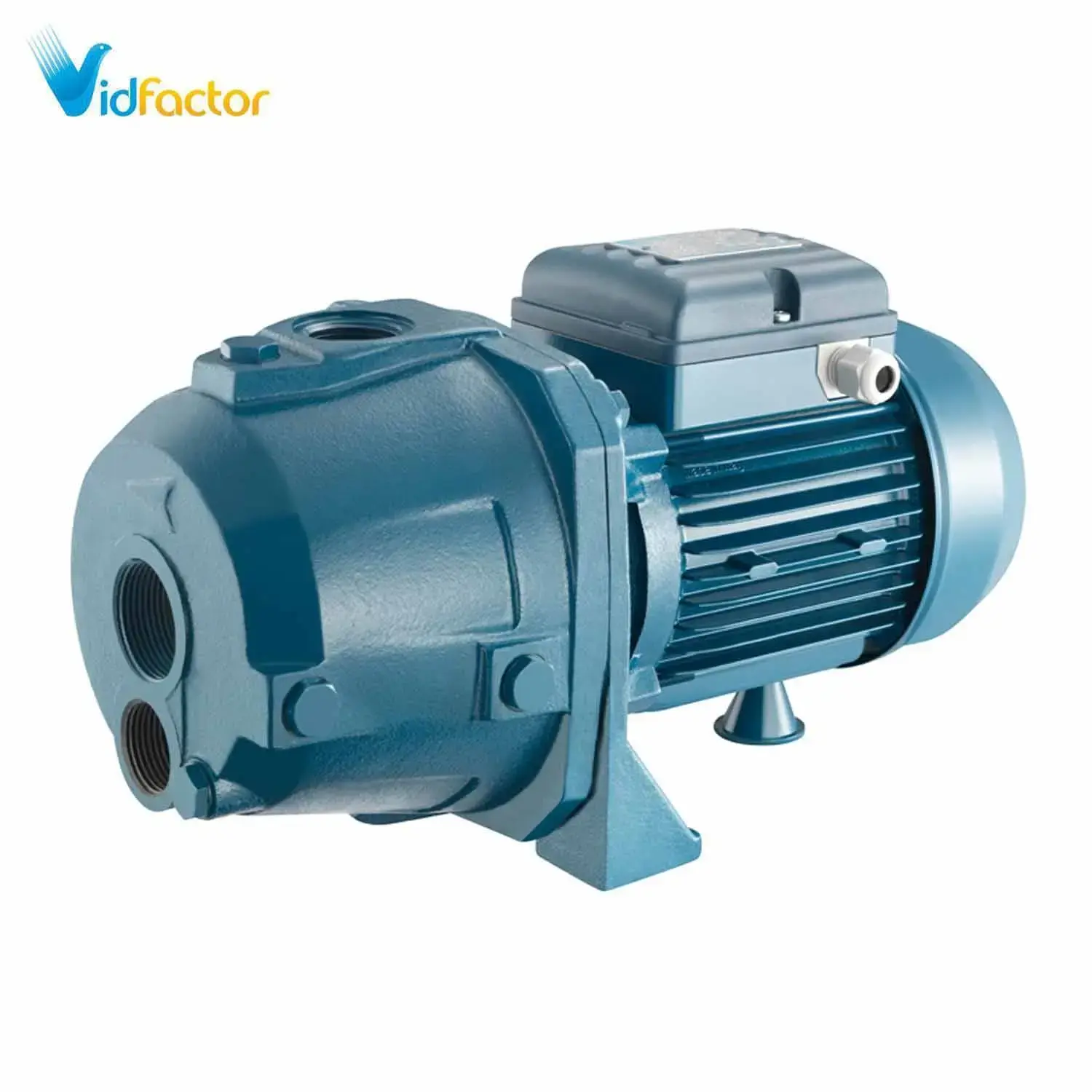 پمپ آب سانتریفیوژ خودمکش پنتاکس AP 100/00