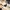 5533b25a-b0ff-47fe-8f6b-2a9b4ed930d4.jpg