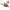 ac3a402e-6750-42f2-8537-81acee28b31b.jpg